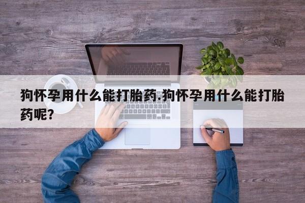 流产药网上怎么购买狗怀孕用什么能打胎药.狗怀孕用什么能打胎药呢？