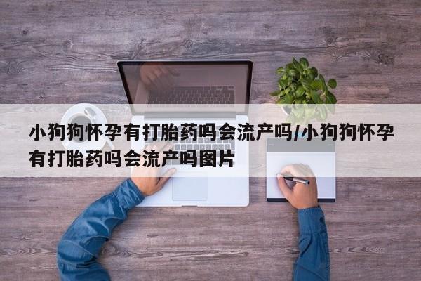 流产药网上怎么购买小狗狗怀孕有打胎药吗会流产吗/小狗狗怀孕有打胎药吗会流产吗图片