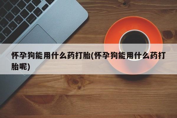 流产药网上怎么购买怀孕狗能用什么药打胎(怀孕狗能用什么药打胎呢)