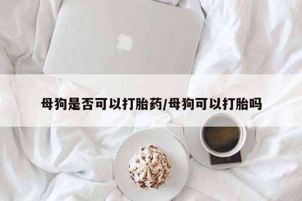 流产药网上怎么购买母狗是否可以打胎药/母狗可以打胎吗
